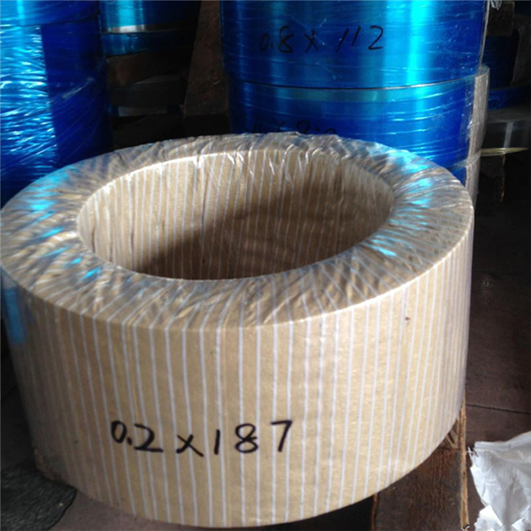 304 Stainless Steel Strips Cold Rolled SS 304 Precision Strip